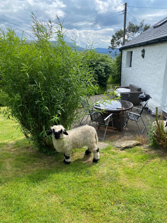 Fron Goch Cottage Dolwyddelan Экстерьер фото